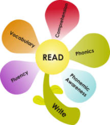 reading awareness phonemic skills components activities phonics literacy fluency comprehension vocabulary writing language teaching key games essential practice struggling oral